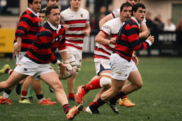 how to watch rugby matches for free